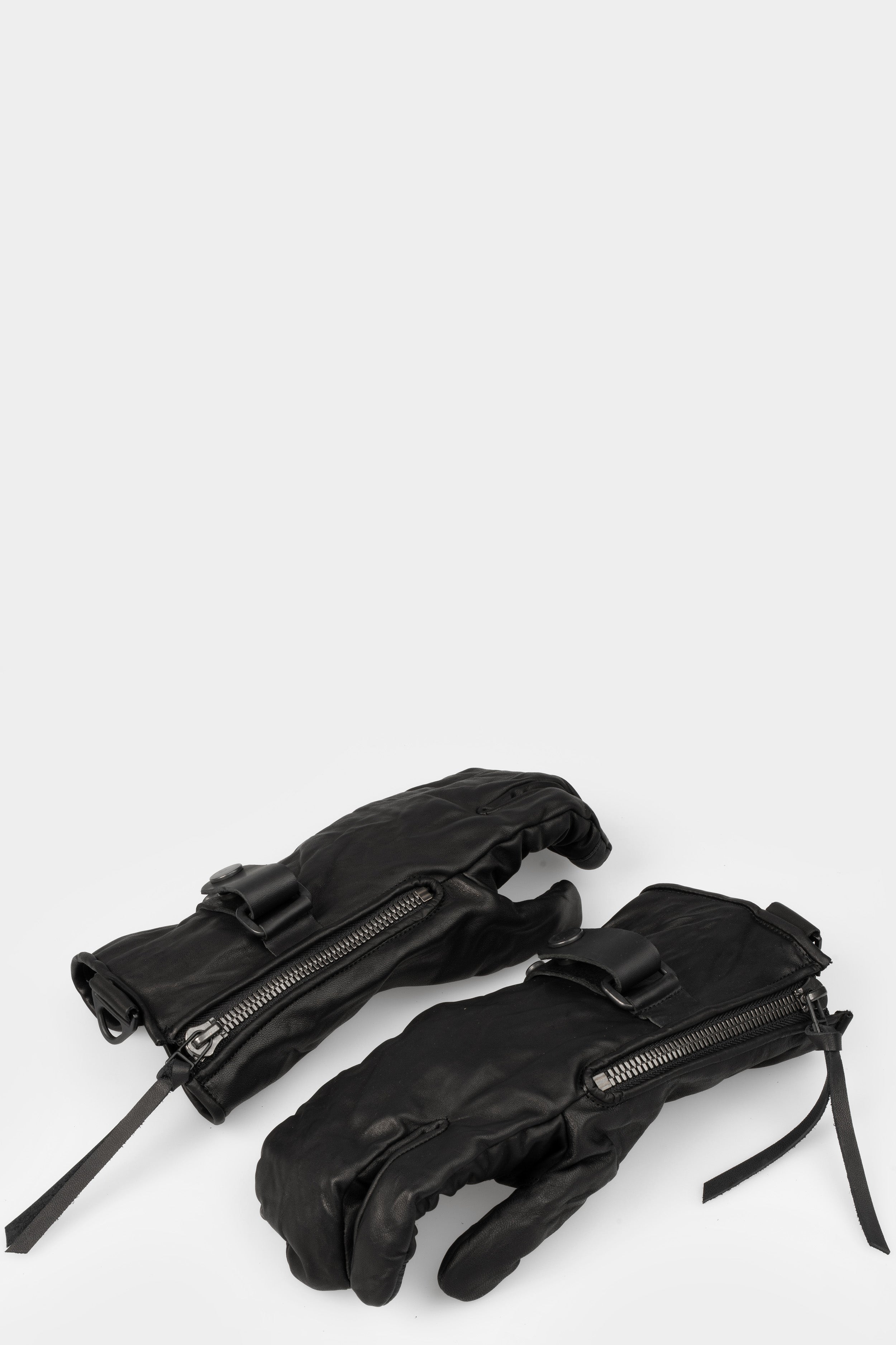new arrival